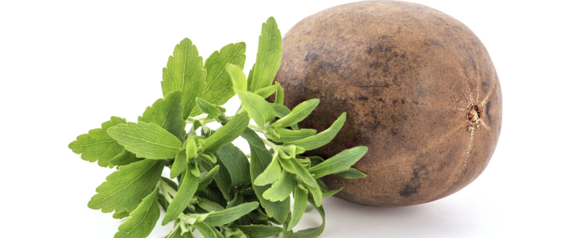 Understanding Stevia Extract: Is Aspartame Present?