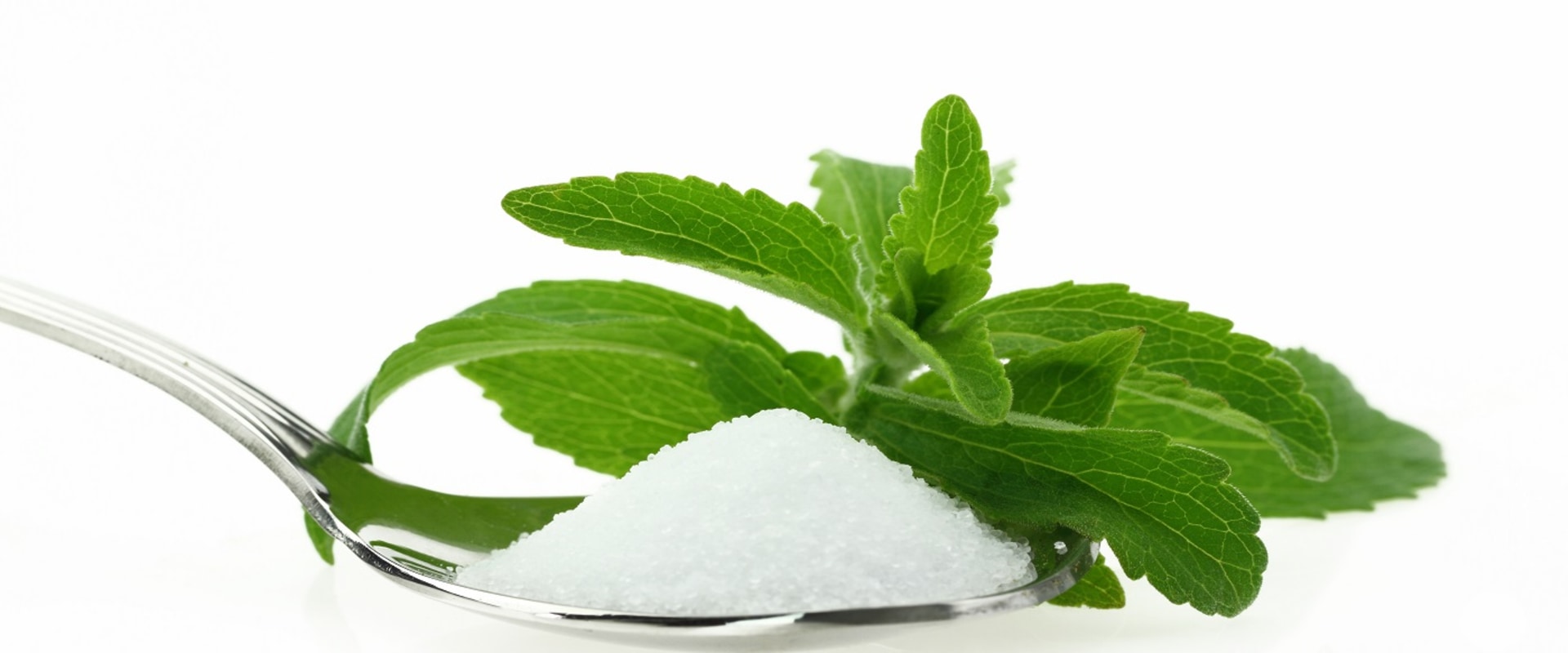 Understanding Daily Stevia Intake: How Much Stevia Extract is Safe?