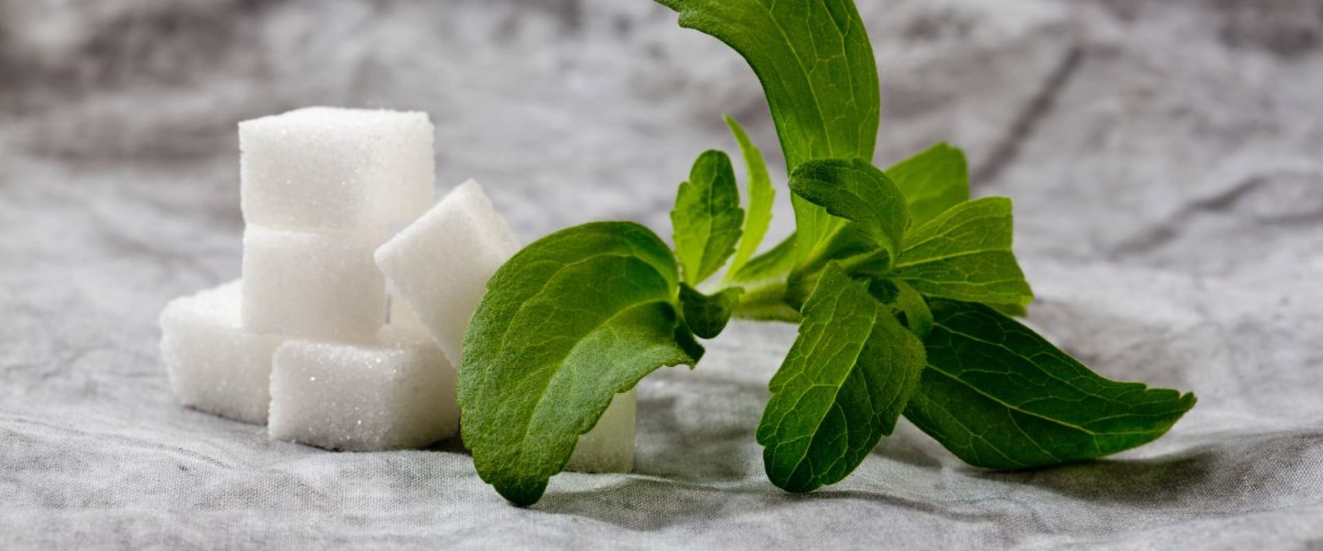 The Truth Behind Stevia: Understanding Its History, Safety, and Current Use