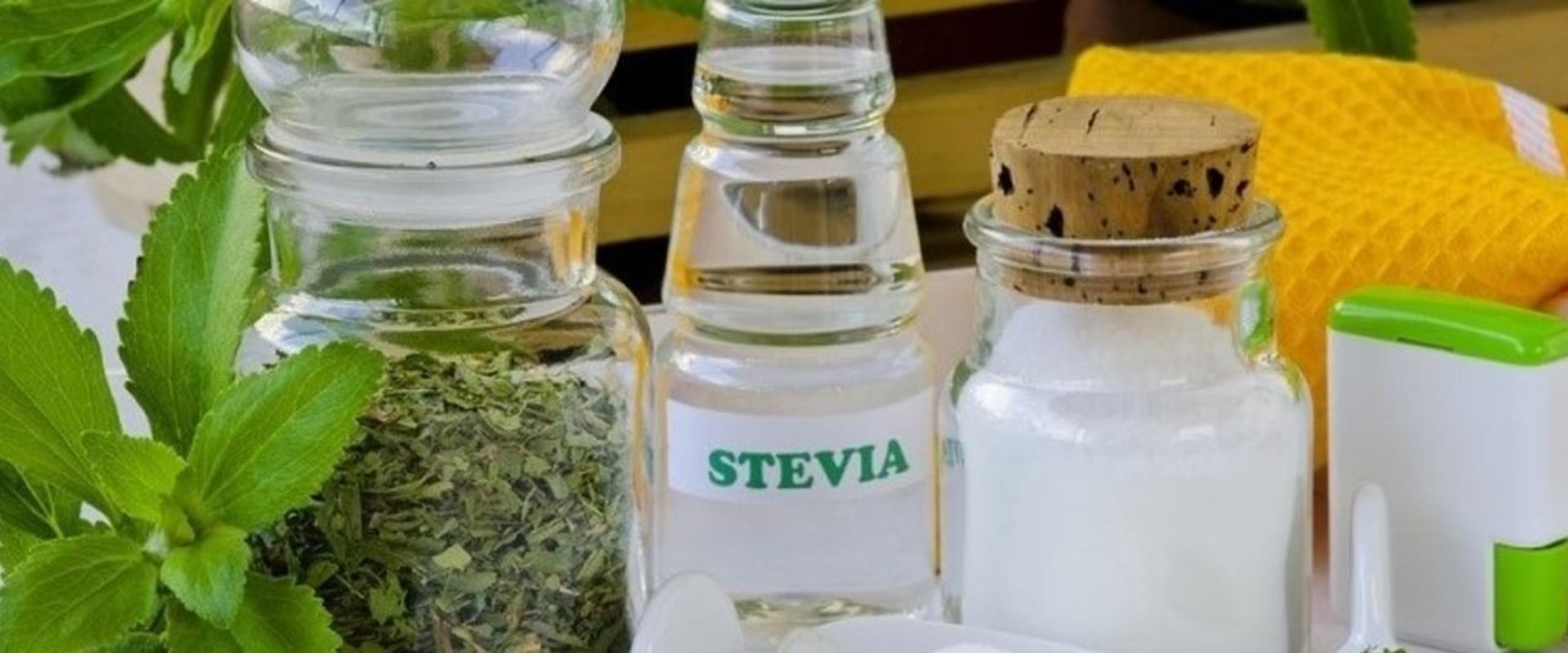 The Truth About Stevia: Separating Fact from Fiction on Stevia Extract