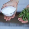 The Truth About Stevia Extract: Benefits, Safety, and Usage