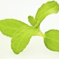 Is Stevia Extract Processed? A Comprehensive Guide