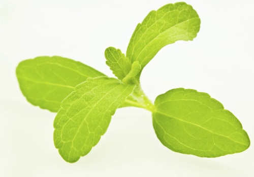 Is Stevia Extract Processed? A Comprehensive Guide